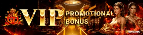 VIP Bonuses