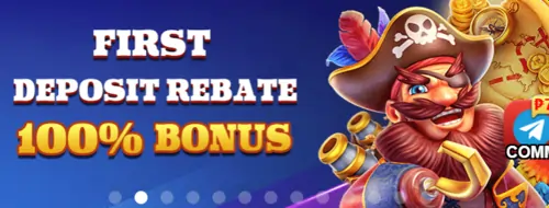 100% bonus