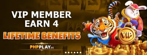 vip benefits